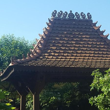 Pas Birute Otel Kaunas Dış mekan fotoğraf